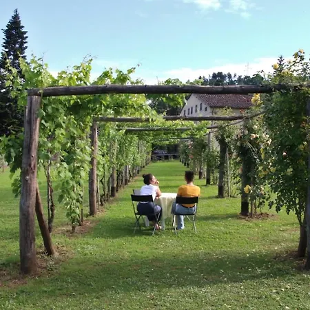 Casa Gaia Lucca