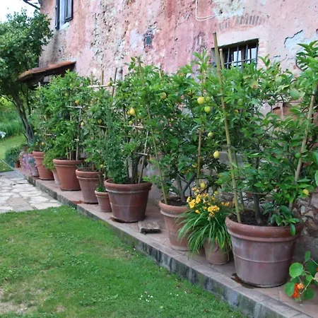 Casa Gaia Casa di campagna Lucca